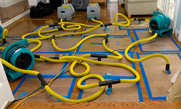 Professional Structural Drying And Dehumidification technician working in Round Top, TX