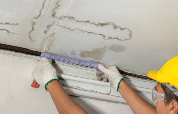 Affordable Water Damage Repair solutions in Round Top, TX